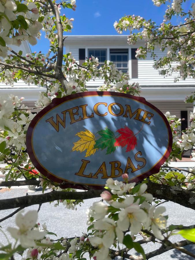 Williston Village Inn Burlington Buitenkant foto
