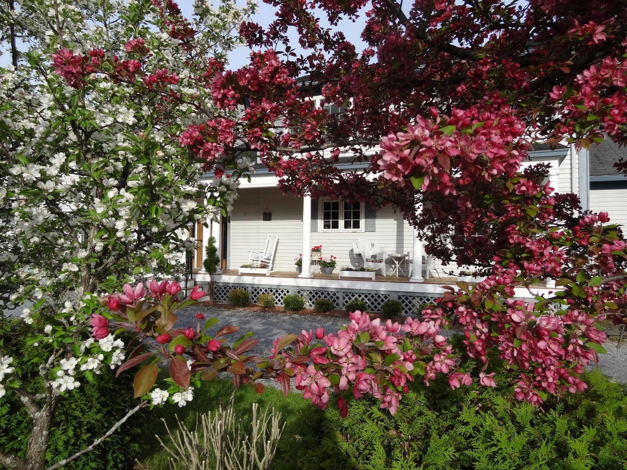 Williston Village Inn Burlington Buitenkant foto